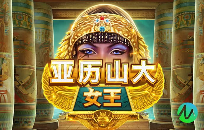 333体育APP